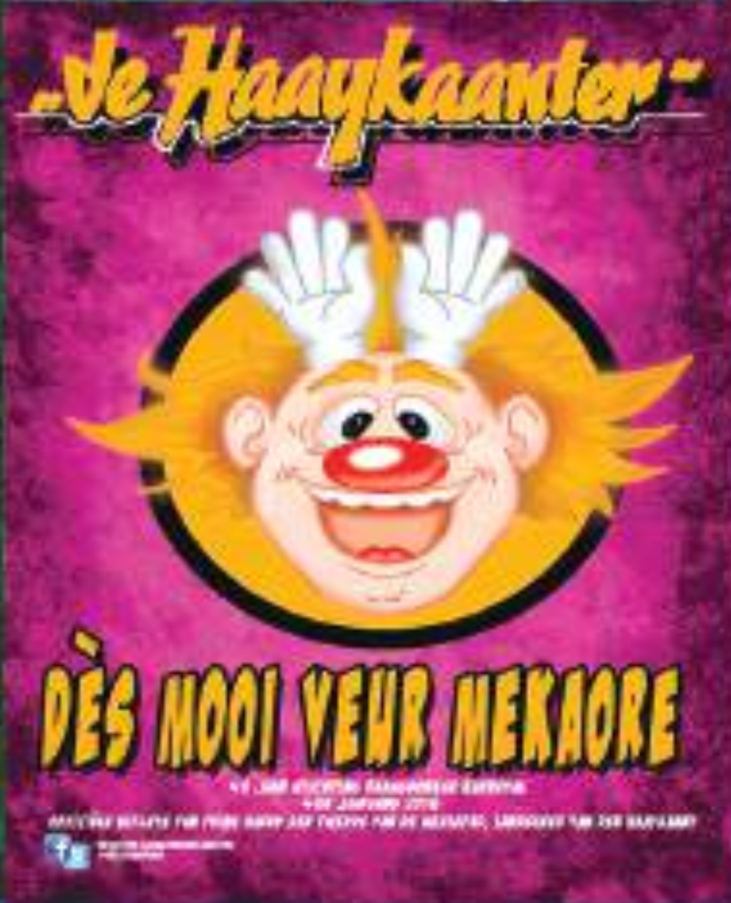 Kaft van De Haaykaanter 2013